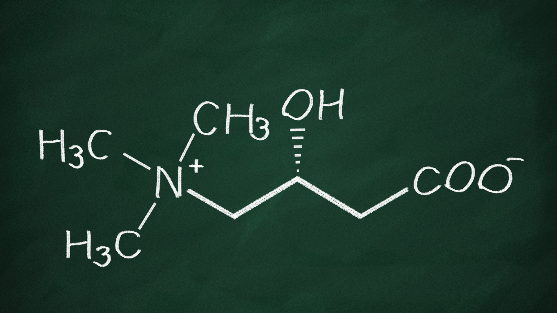 L-karnitin: přenašeč energie a spojenec metabolického zdraví