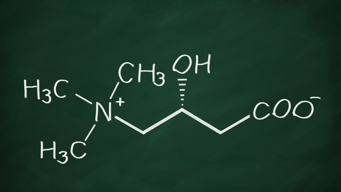 L-karnitin: přenašeč energie a spojenec metabolického zdraví